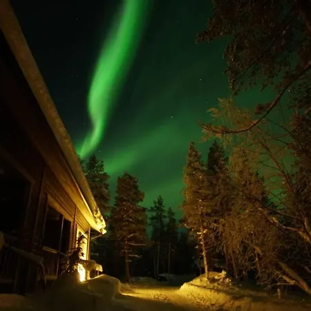 Gold Legend Paukkula#2 -