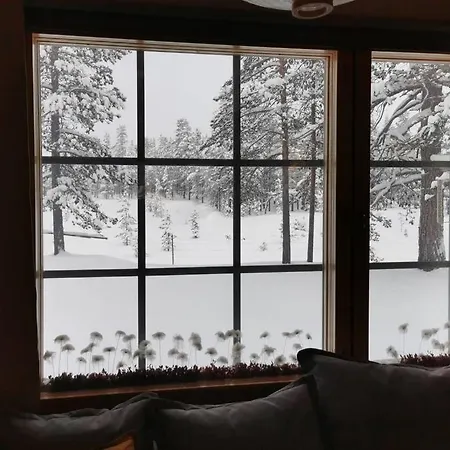 Gold Legend Paukkula#2 - Apartament