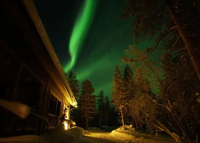 Gold Legend Paukkula#2 -